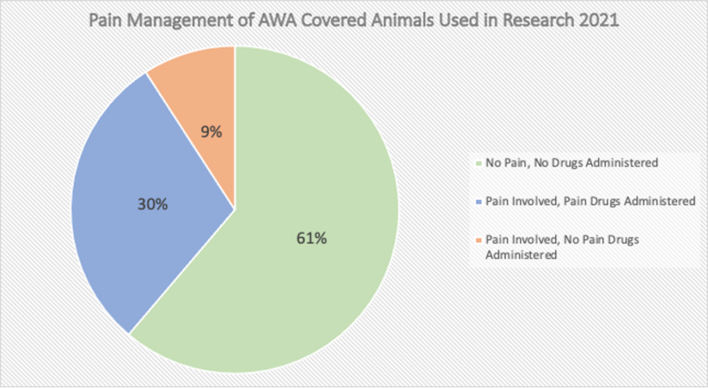 Pie chart of pain Mmnagement of animals used in research covered by the AWA in 2021. 61% had no pain and no drugs administered, 30% had pain with some pain drugs administered, and 9% had pain and no pain drugs administered.